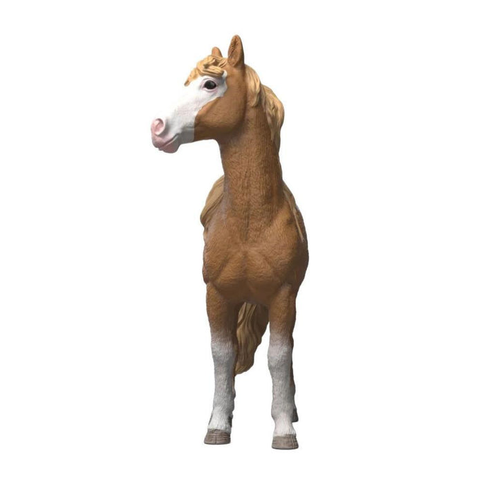 Égua Mustang