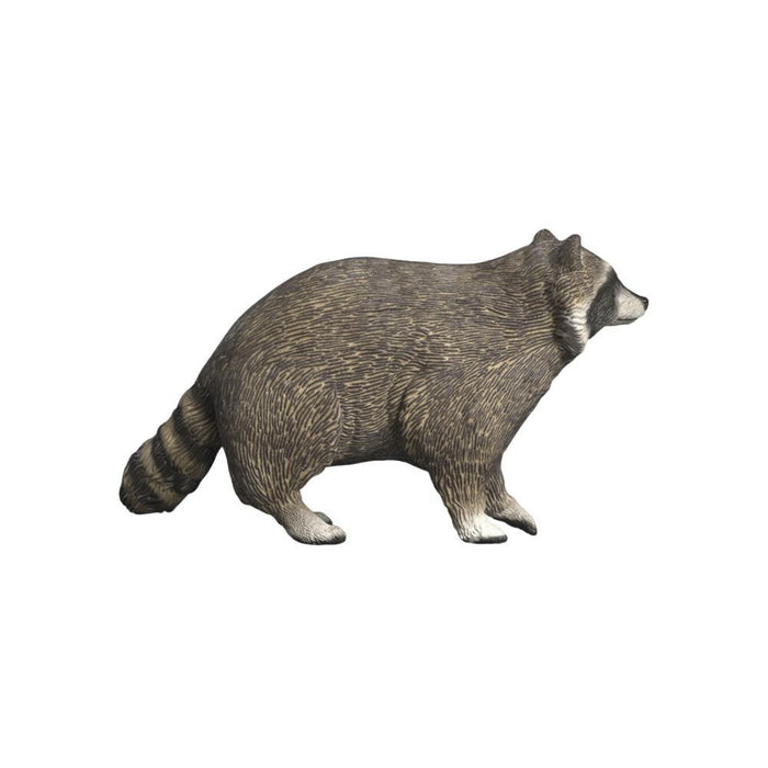 Guaxinim