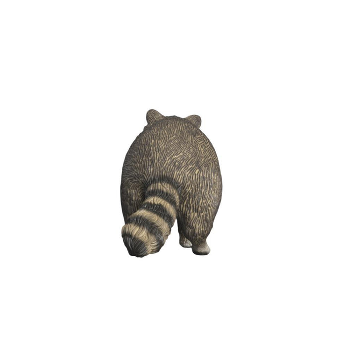 Guaxinim