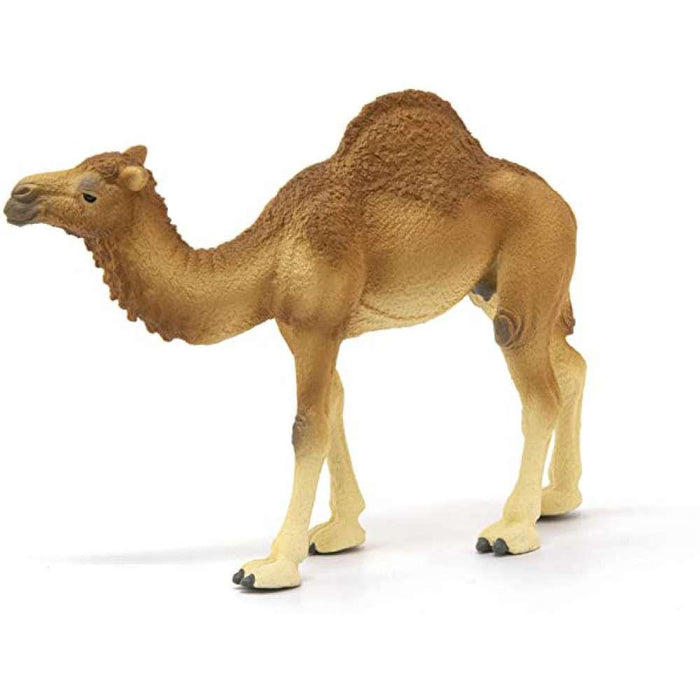Schleich Dromedário