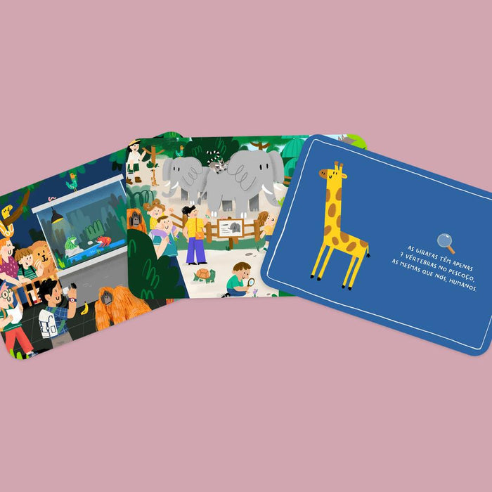 Jogo The Happy Gang Procura e Encontra no Zoo 50 Cartas