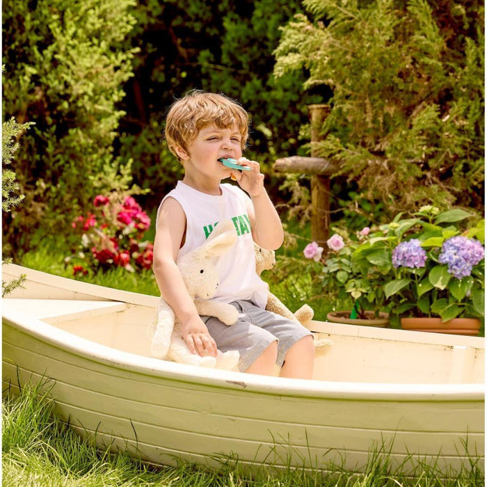 Hape Kazoo Rhythm & Hum