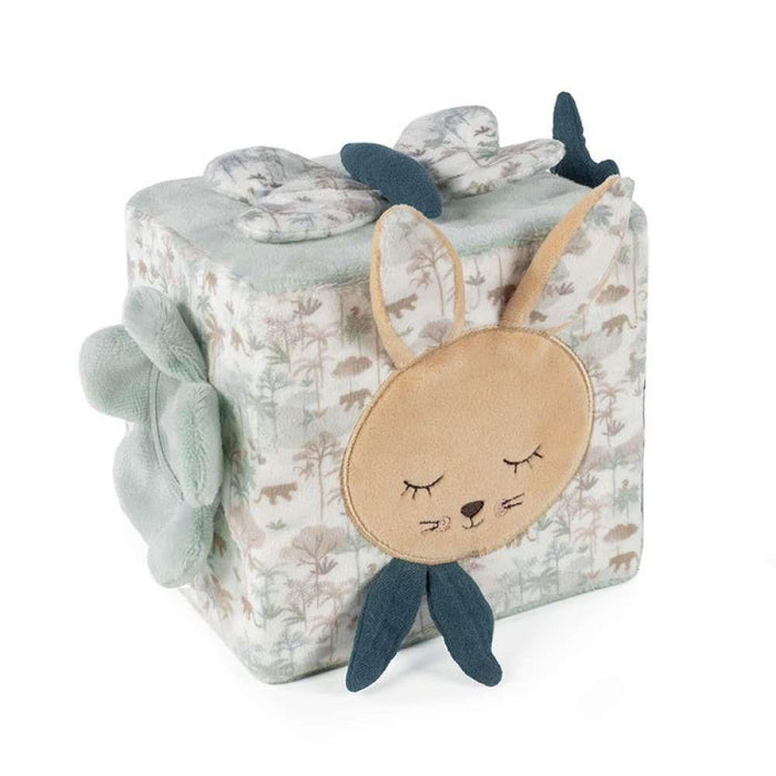 Cubo de actividades del conejo Serengeti