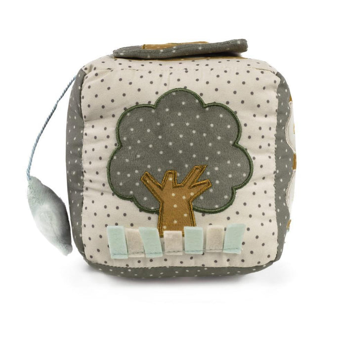 Cubo de actividades de amapola