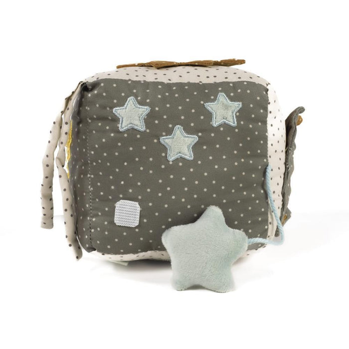 Cubo de actividades de amapola